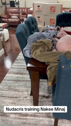 Nudacris the Cat Teaches Kitten Nakee Minaj