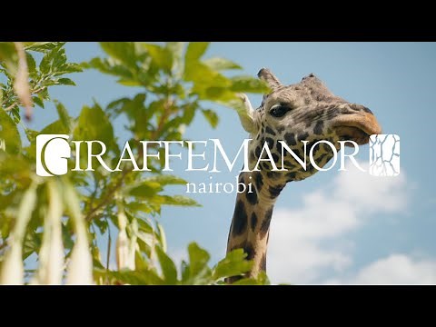 Step Inside Giraffe Manor