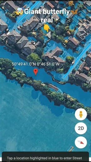 Giant butterfly real🦋🤯 on Google maps and google earth 🌍#short #viral #ACearth