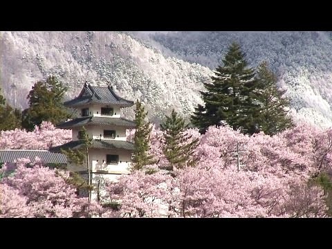 The three most famous cherry blossom sites in Japan ( Mt. Yoshino / Takato Castle / Hirosaki Park )