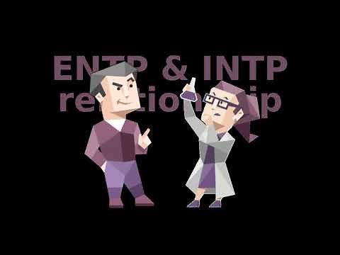 ENTP & INTP relationship explained