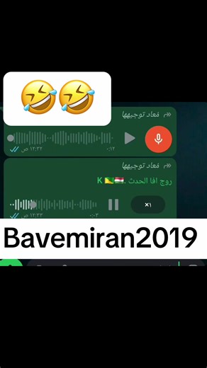 Bavemiran 2019 Kurdish Comedy Highlights