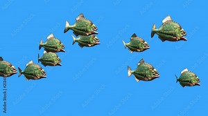 Group Fish Piranha Fast Swim Blue Screen 3D Rendering Animation