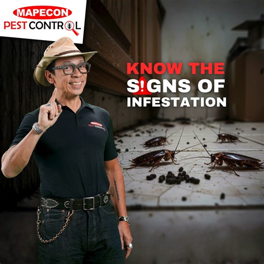 Tiny black droppings around your home? It’s not just dirt , it’s a sign of a cockroach infestation. Don’t ignore it! 🪳🚫 𝐈𝐩𝐚-𝐌𝐀𝐏𝐄𝐂𝐎𝐍 𝐦𝐨 𝐧𝐚! 🚫🪳 D.I.A.L 📞 8567 - PEST (7378) 📲 09209113886 (Smart) 📲 09175285709 (Globe) 📲 09228242295 (Sun) or send us a message at 📧 customercare@mapecon.com.ph 🌐www.mapecon.com #IpaMAPECONMo #provenprotection #trustedforgenerations #DengueAlert #MAPECONProtects #ONEMapecon | MAPECON Philippines, Inc.