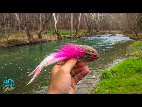 Musky Fishing for 2 Days in 2 Places You'd NEVER Think to Look!! (fly fishing)