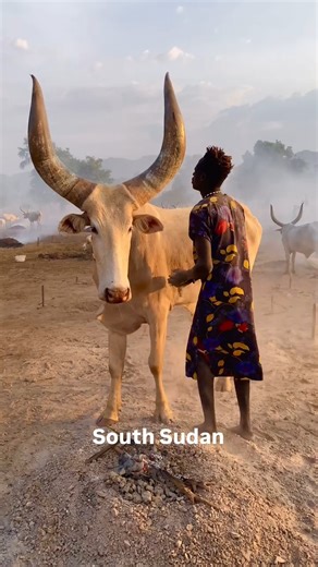 13 reactions | Across Africa, everyday traditions hold the...