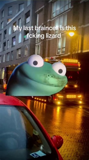 TOM | daily lizard meme on Instagram: "Day 8 of posting the lizard meme till I reach 10k followers"