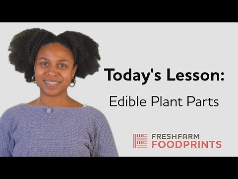 Edible Plant Parts | FRESHFARM FoodPrints