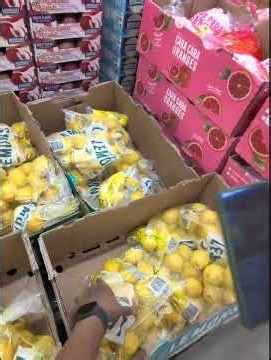 We Got Groceries for $0 at Sam’s Club! 😳🛒 #SamsClub