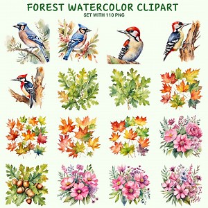 110 Forest Watercolor Clipart High Quality Nature Forest Watercolor Clipart Watercolor Style PNG Transparent Background Digital Download - Etsy