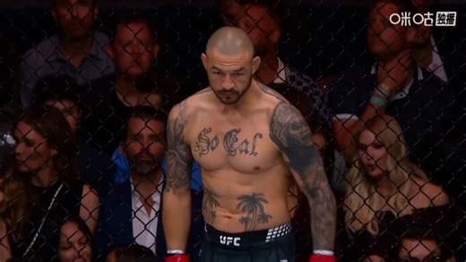 斯旺森VS蓝德维尔