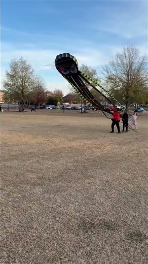 The kids love the Octopus Kite flying at Evans Towne Center Park near Augusta Georgia!