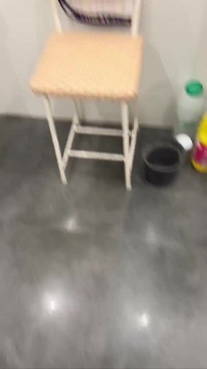 This cat was trained like a dog! | outdoorbengal