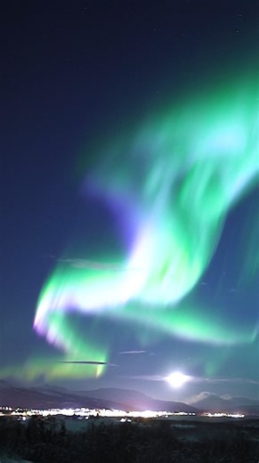 Blue and green aurora filling the sky | Aurora Borealis Observatory