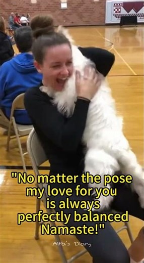 UNBELIEVABLE! 😱 Cats Jumping on People at the Best Moments! #viral #shorts