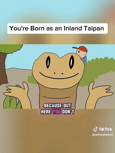 Inland Taipan: Why It Sucks to Be Born That Way