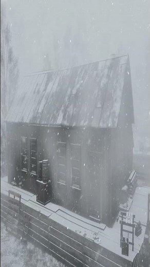 HEAVY BLIZZARD & Howling Wind Sounds for Sleeping. Snowstorm Ambience. Howling Wind & Blowing Snow