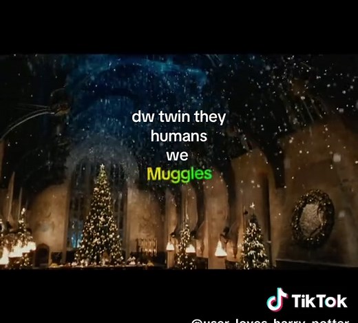 Exploring Life as a Muggle in the Wizarding World