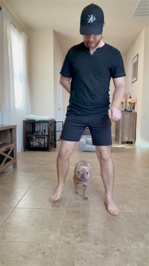 Just our daily training session with French Buldog, her name is Ava and she nailed it as always 👌🐾 Please share this video to your friend who has a French Buldog 🤫 #dog #dogtraining #austin #frenchbulldog #frenchie #tips #sergeyastafyev | Lone Star Dog Training and Care
