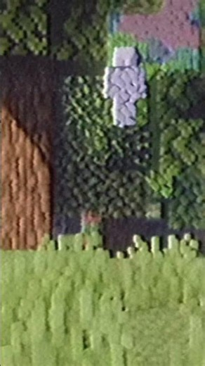 Les mods horreurs Minecraft les plus effrayant…😨🥶