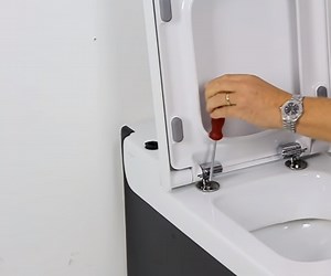 How to Install a Soft-close Toilet Seat