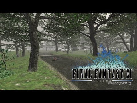 Final Fantasy XI | Ambience & Music - East Ronfaure (1 hr version)