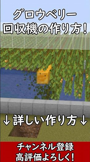 [Java1.21.8] Anyone can make it! How to make a Glowberry harvester! #Minecraft #Minecraft