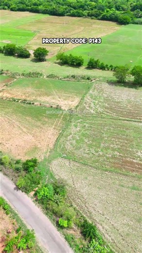 పరిగి దగ్గర 1.20 ఎకరాల ల్యాండ్ అమ్మకం | 1.20 Acres Land for Sale near Parigi (Doma) | #landforsale