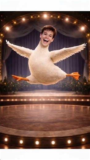 I Woke Up as a Dancing Goose