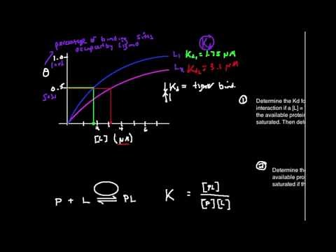 Graphical Estimation of Kd from P:L Binding Plot