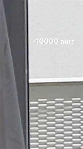 STUPID ROUND BIRD POOPING ON MY BALCONY #birds #aura