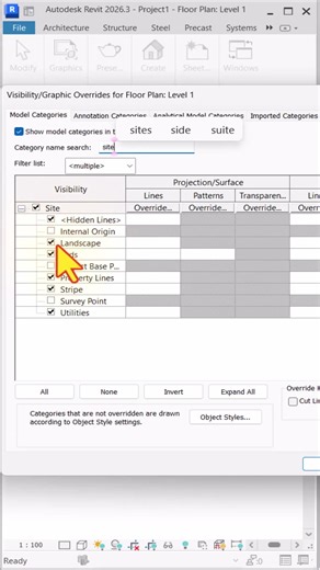 the fastest way to show survey point in Revit 2026 #revit #3dmodelingsoftware
