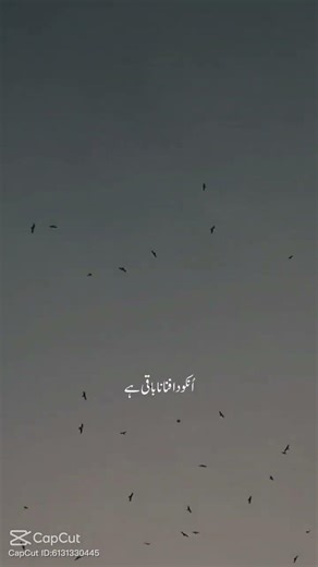 urdu sad short status 💔 #deepurdulines #poetry #sadurdugazal #sadwhatsappstatus #heartfeltshayari