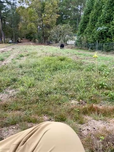 Angels hovering around 🥰😹😇🙌♥️ | Rex Long