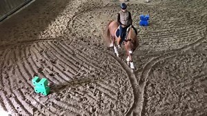 Tip exercises! If you like it when you try it let us know 😆 | Valença Classical Riding