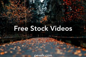 Fallen Angels Videos, Download The BEST Free 4k Stock Video Footage & Fallen Angels HD Video Clips