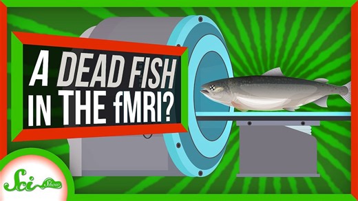 P-values broke scientific statistics—can we fix them?