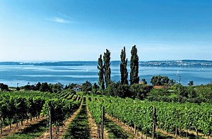 Tourismus am Bodensee: Aufruhr im Kartendschungel