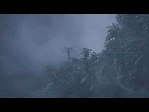 🌧️ Heavy Night Rain Sounds for Deep Sleep | Fall Asleep Fast & Stay Asleep