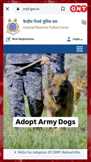 Helping voiceless friends on Instagram: "Adopt retired Army dogs! Link: https://crpf.gov.in/Training/DBTS/K9s-for-Adoption Also in highlights! #compassionforanimals #adoptdontshop #adoptdontshop🐾 #adoptdontshop❤️ #helpstrays #humanity #adoptdontshop #nocrueltytoanimals #bekind #helpinghand #streetdogsofindia #adoptarmydogs #retiredarmydogs"