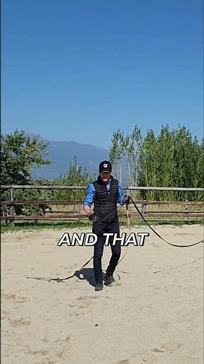 Why Canter? Horse Reactivity & Muscle Crunch Explained #shorts