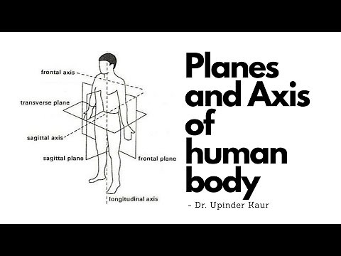 Planes and Axis in human body