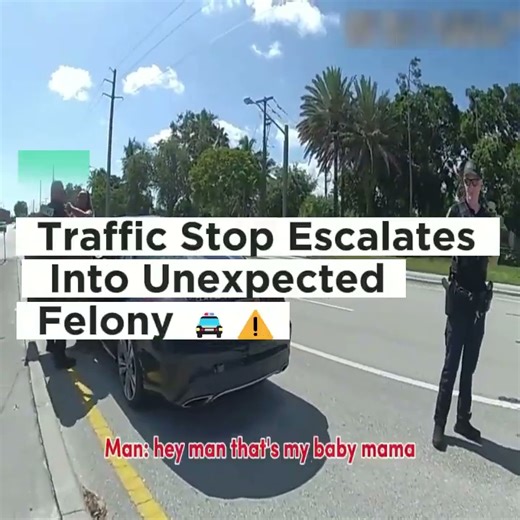 Routine Traffic Stop Leads to a Serious Legal Outcome 🚔⚠️ What begins as a standard roadside interaction uncovers significant legal concerns, showing how small details can quickly change the direction of an encounter 📘 Watch to learn how traffic stops work, what drivers should know about their rights, and why awareness matters #TrafficEducation #LegalAwareness #PublicSafety #RealLifeLessons | Justice Lens