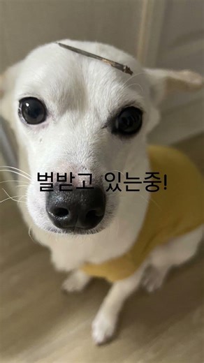 ㅋ ㅋ ㅋ ㅋ