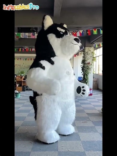 🐾 Husky Inflatable Mascots – Perfect for Any Event! 🚀