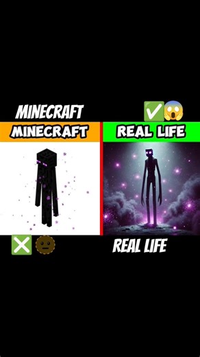 minecraft vs real life