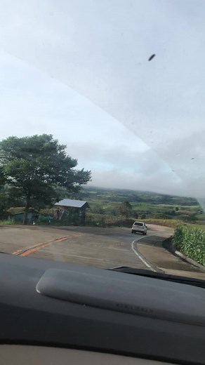 Prank Your Friends with These Creative MyDay Video Ideas