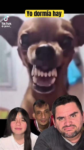 Bad Twins #share #memes #followme #comedy #funny #humor #shortvideo #laughter #laughs #subscribe