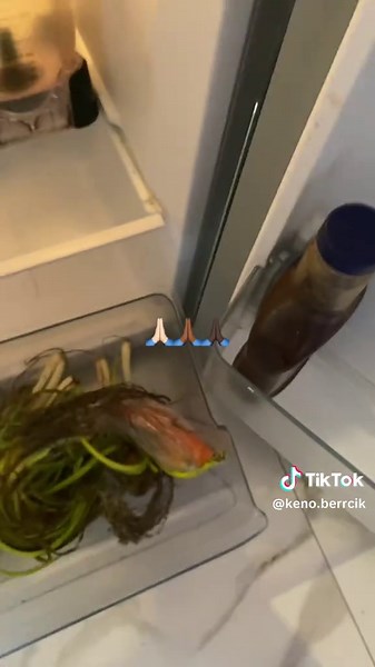 Keno Berrcik (@keno.berrcik)’s videos with original sound - Keno Berrcik