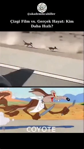Akademik Cahiller | Çocukluğumuzun efsanesi Looney Tunes bize yıllarca tatlı bir yalan söylemiş olabilir mi? Daha fazlası için---->@akademikcahiller... | Instagram